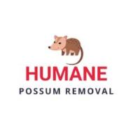 Humane Possum Removal Point Cook image 1